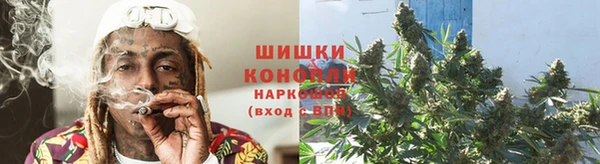 сатива Заволжье