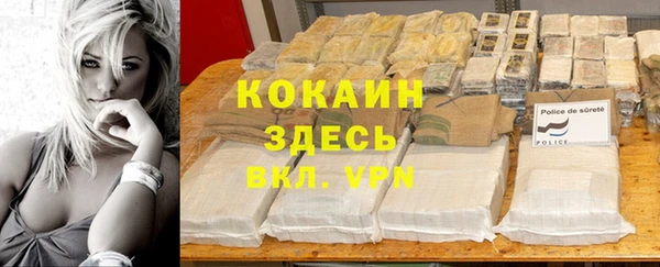 сатива Заволжье