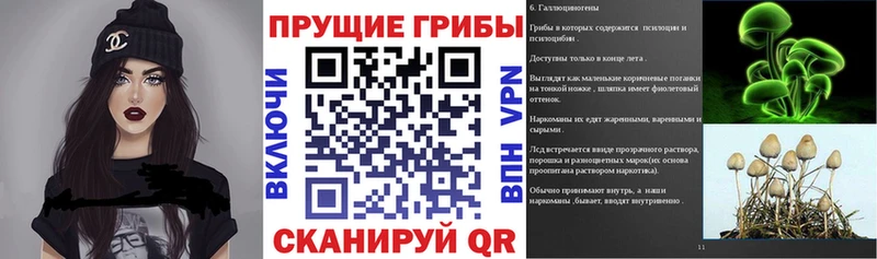 Псилоцибиновые грибы Magic Shrooms  как найти закладки  Циолковский 